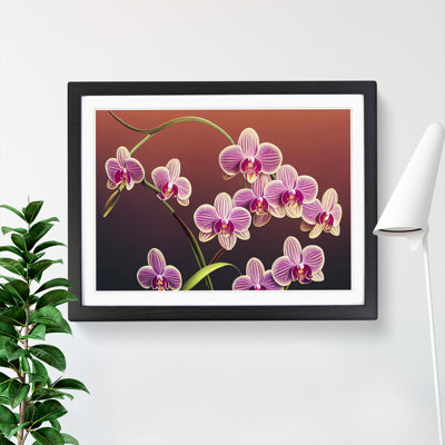 Dashing Orchid Flowers - Framed Print