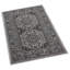 Oriental Indoor / Outdoor Area Rug-2082205548