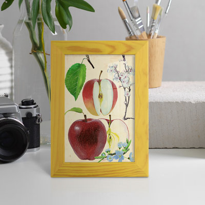 Apple & Blossom Study II " Apple & Blossom Study II "