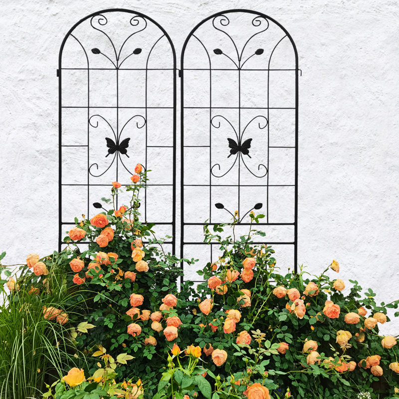 86,7 "X 19,7" Jardin d'escalade pour l'extérieur, paquet de 2 en métal antirouille, plantes en fer noir pour l'extérieur, métal antirouille, support