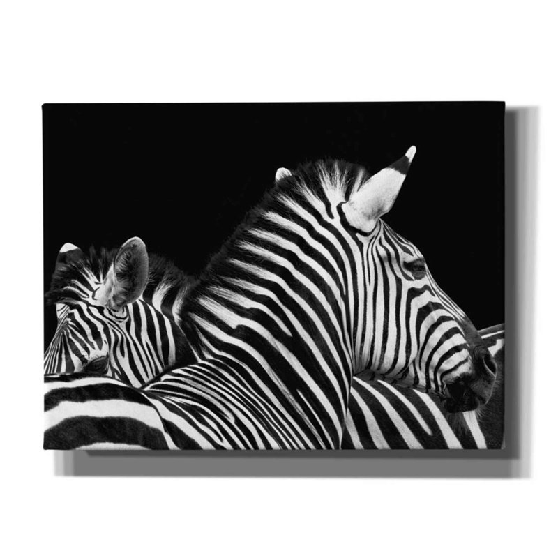 «Latitude Zebra I» par Debra Van Swearingen, art mural Latitude, H 12 po x l 16 po x P 0,75 po
