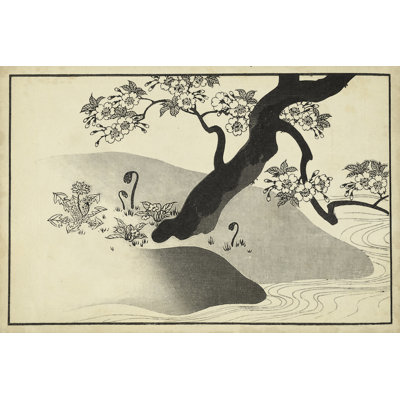 Cerisier japonais en fleur A