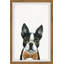 «Dapper Dog», reproduction encadrée-1889606743