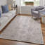 Wendover Transitional Oriental, Beige/Gray Area Rug-917887256