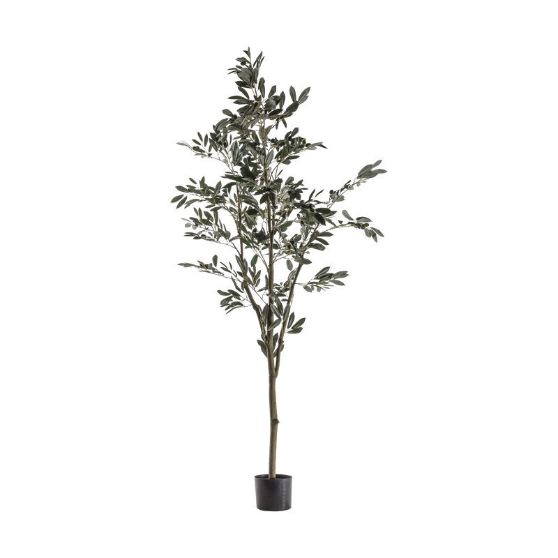 182 cm H Faux Olive Tree Plant in Plastic Pot