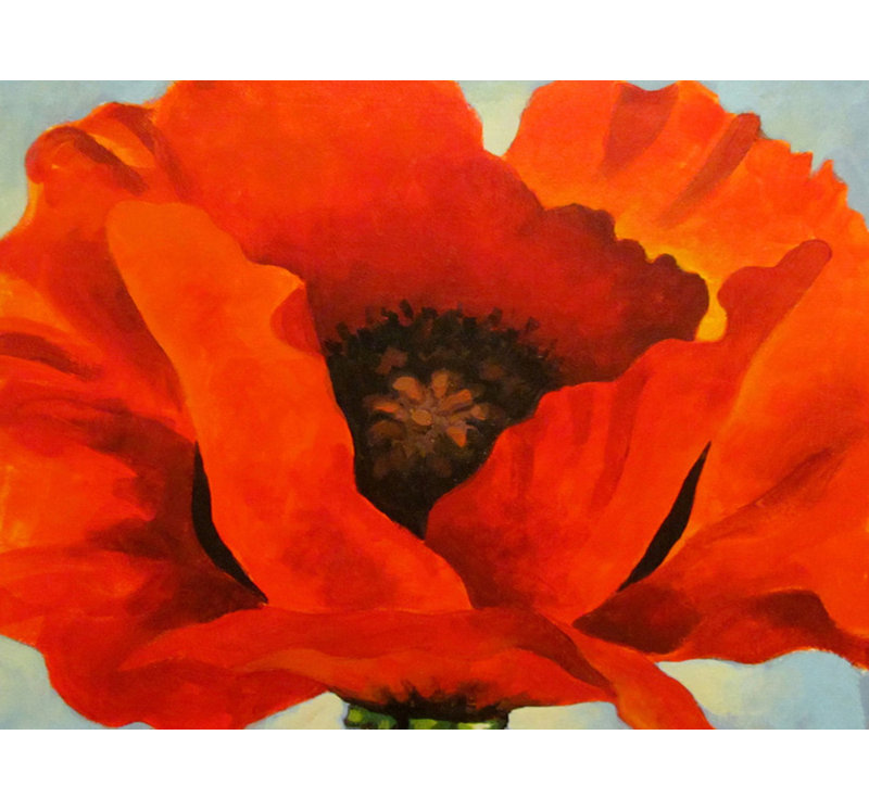 Red Poppy