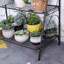 Uriarte Plant Stand