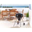 Dakota Fields Ajsha 58cm W Kettle Charcoal Grill