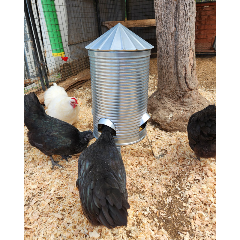 Silo Chicken Feeder