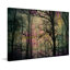 «Night Sight» par Parvez Taj, photographie sur toile tendue-29860493