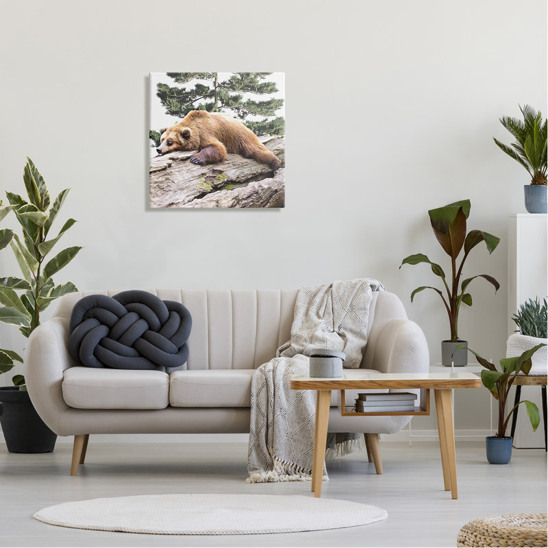 «Sleeping Brown Bear Wildlife» par Kim Curationa - impression sur toile tendue, H 24 po x l 24 po x P 1,5 po