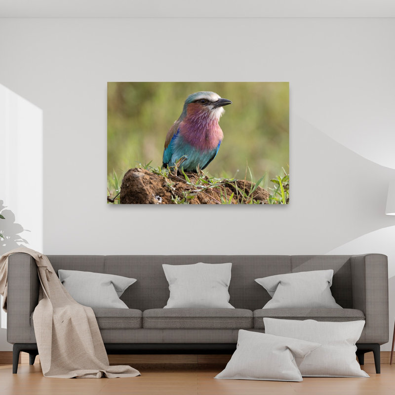 Vibrant Lilac Roller Colorful Peaceful Serene Bird Lilac Nature Tropical Wall Art Print 1 Piece Wrapped Canvas Wall Art
