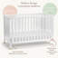 Lit de bébé convertible 4-en-1 Little Seeds Aster