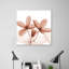 Journey Clematis - Wrapped Canvas Print-2117457745