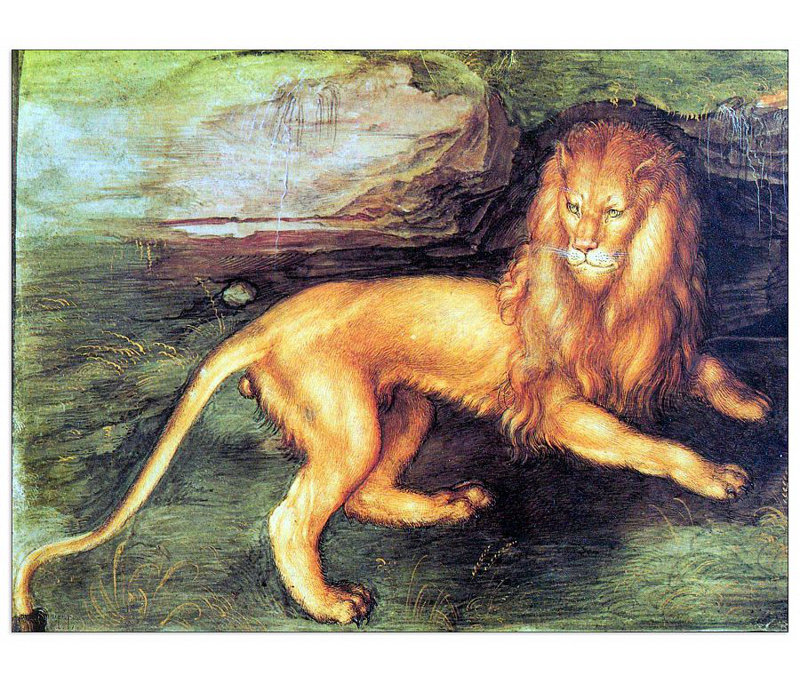 Albrecht Dürer - Wrapped Canvas Painting