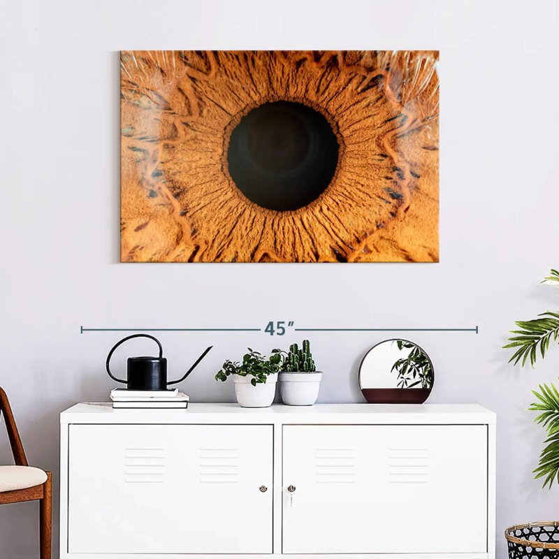 Alcaraz Brown Iris, 24" H x 36" W
