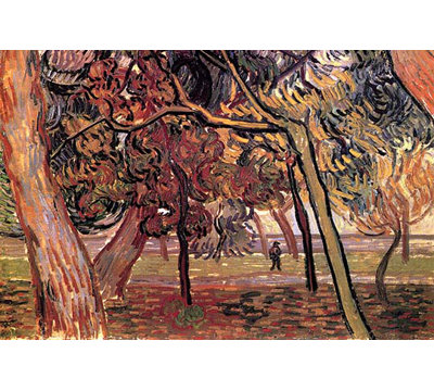 « study of pin trees » par vincent van gogh, reproduction d’art