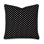Square Indoor/Outdoor Pillow Cover & Insert