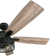 Carnegie 52" Ceiling Fan with LED Lights and Remote Included