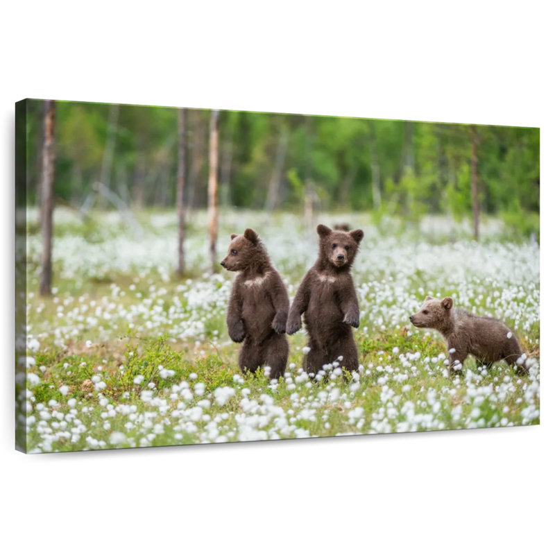 Brown Bear Cubs, 16" H x 24" W