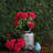 Artificial Polyester Geranium Bush-1931813636-1931813637