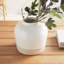 Leona Bottle Vase Large-890057386