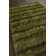 Tapis vert en polyester tissé à la main Dorothy