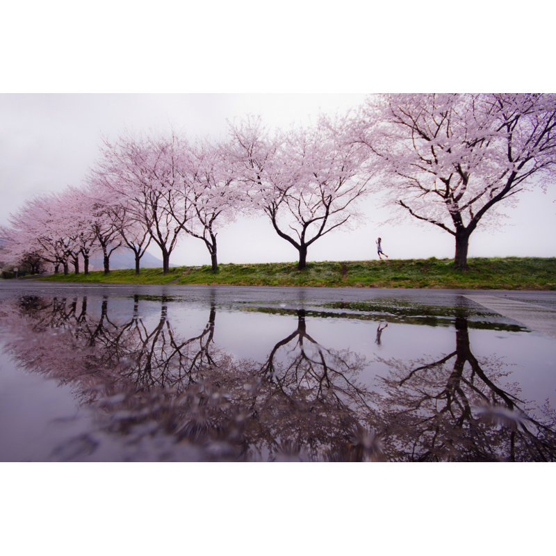 Wrapped Canvas Print, 50.8 cm H x 76.2 cm W