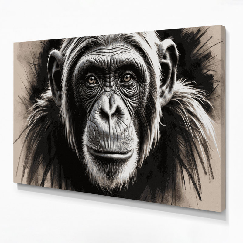 Faune, art mural noir sur toile chimpanzé, H 20 po x l 30 po