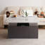 Assal Lift Top Frame Coffee Table with Storage-468104302-468104297