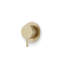 Round Volume Control Trim Kit Satin Brass