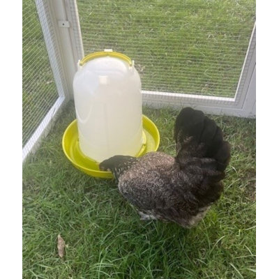 Bio Chicken Waterer 2.5 Gallon