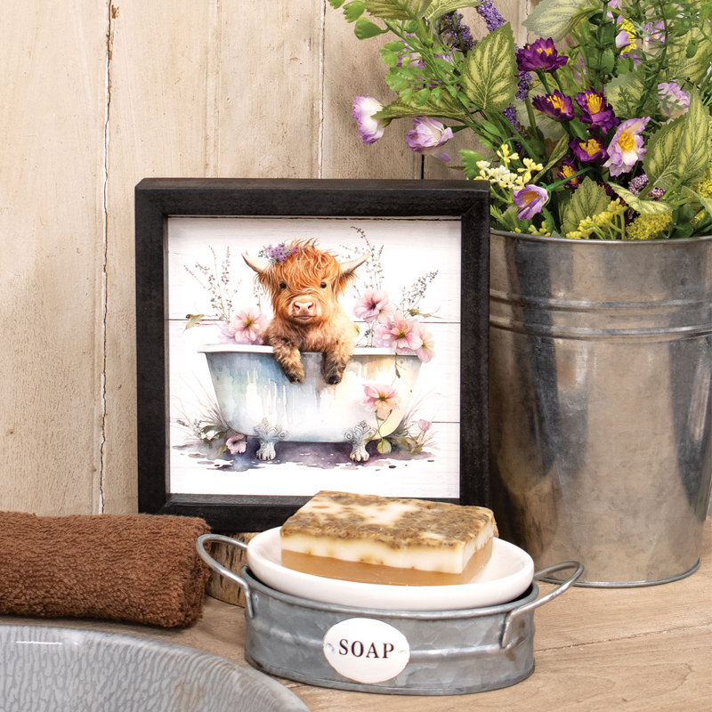 Darrion, animaux, boîte, enseignes et plaques