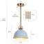 Suspension lumineuse à abat-jour en forme de dôme de 9,1 po de largeur-1082012877