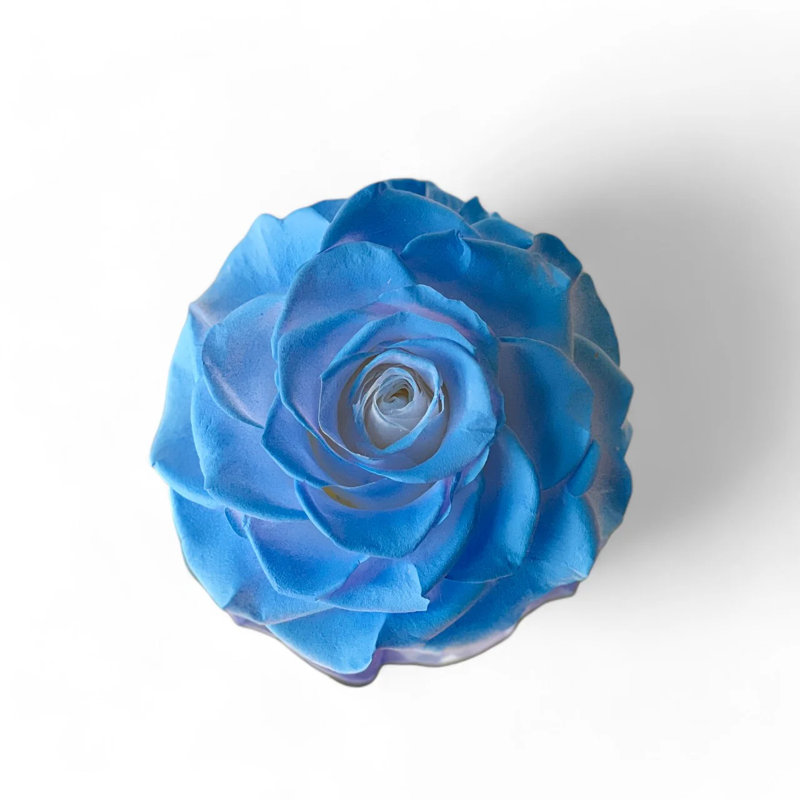 Arrangement de pivoines en boîte