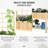 Shellman Wood Raised Garden Bed