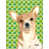 Chihuahua (brun et crème) sélectionné