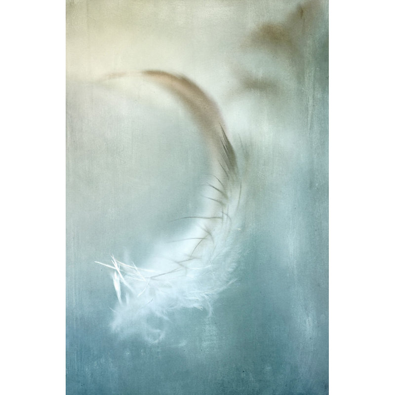 "Wind Blown Feather" Print on Wrapped Canvas, 24" H x 16" W x 1.5" D