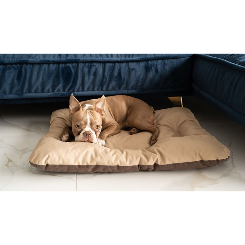 Solon Codura Pet Bed, Cappucino, 10cm H x 90cm W x 73cm D, Extra Large