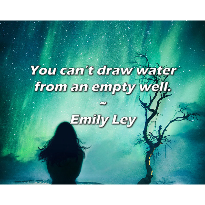 Citation d'Emily Ley: Vous ne pouvez pas puiser de l'eau dans un puits vide.