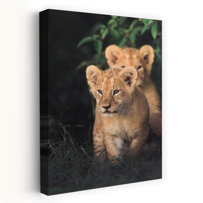 Curious Lion Cubs Peaceful Contemporary Cat Lion Nature Wildlife Wall Art Print 1 Piece Wrapped Canvas Wall Art