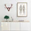 Human Anatomy in German - Picture Frame Drawing Print-55763861-55763862