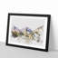 Path Through the Mountains - Framed Print-56851845-56851849