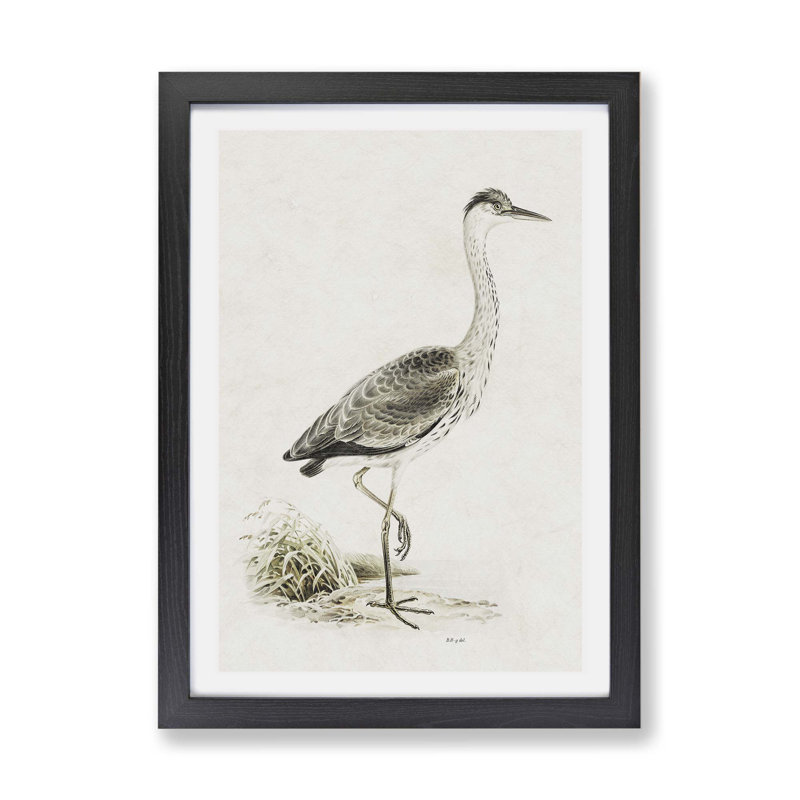 Grey Heron by Von Wright - Framed Print, Black, 24cm H x 33cm W x 2cm D