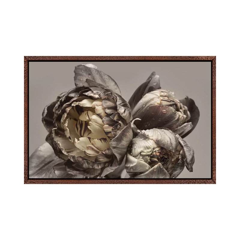 Baroque IV - Print on Canvas, Classic Brown Wood Framed, 66.04cm H x 101.6cm W x 3.81cm D