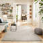 Arees Solid Colour Hand Woven Flatweave Area Rug-1301100257