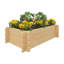 Wood Elevated Planter