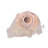 16'' Christmas Lighted Tree Topper
