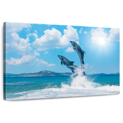 Brampt Dolphin Paradise