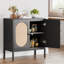 Armoire de rangement avec portes et tablettes Areyona-1740453527